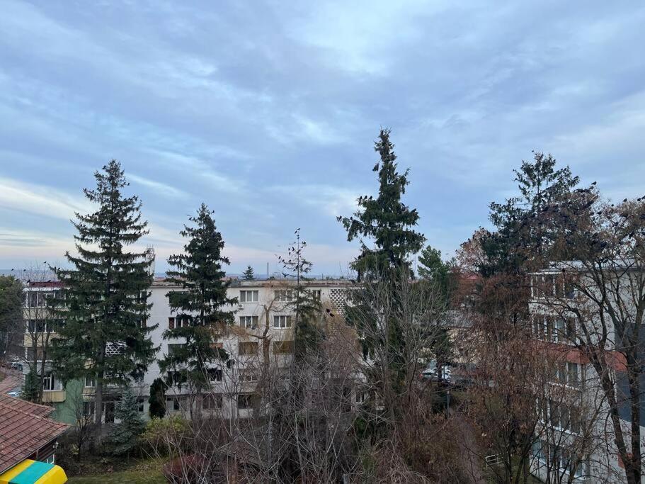 Apartament Theta- Langa Centru, Cada Hidromasaj Suceava Exterior photo